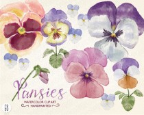 wedding photo - Watercolor pansies, pansy, hand painted spring flowers, viola, bouquet, florals, clip art, watercolour, diy invitation, party stationery