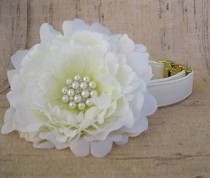 wedding photo - Ivory Satin Dog Collar with Brass Hardware and Large Flower Accessory