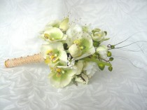 wedding photo - Orchid wedding bouquet green and creme orchid and rose bouquet and boutonniere set