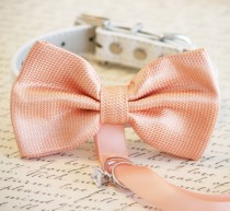 wedding photo - Peach Dog Bow Tie, Dog ring bearer, Pet Wedding accessory, Pet lovers, Peach wedding accessory