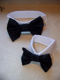 wedding photo - Dog Collar and Bowtie - Pugs, small dogs, big dogs, cats too.