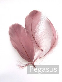 wedding photo - Loose Lavender Purple Nagorie goose feathers (12 Feathers) popularly used for wedding flowers, fascinators, cerby hats and flapper headdress