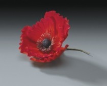 wedding photo - Red Gum Paste Poppy Flowers 10ct for Weddings and Cake Decorating - Free Insured Shipping Within USA!!