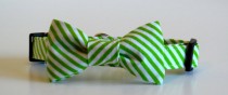 wedding photo - Bow Tie Dog Collar Green and White Stripes Wedding Accessories Christmas Collar Made to Order