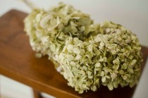 wedding photo - Large bunch of naturally dried green hydrangeas, green hydrangeas, dried hydrangeas, green decor, green wedding, wedding decor