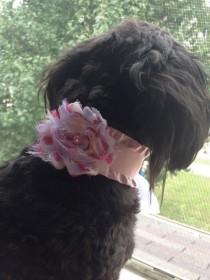 wedding photo - DOG FLOWER COLLAR -  Pink ribbon collar with flower, Pet Wedding,Ties on, Pet Flower, Dog Wedding, Pet Corsage, Dog flower , Dog Bow