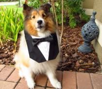 wedding photo - Dog Tuxedo Basic Bandana Vest Wedding Tux Black