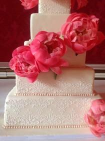 wedding photo - Cake Cake Cake! 