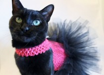 wedding photo - Cat Clothes Hot Pink and Black Cat Tutu with Zebra Bow pet clothing cat clothing pet clothes
