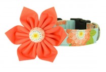 wedding photo - Coral Flower Dog Collar Set, Collar and Flower, Girly Dog Collar, Wedding Dog Collar: Peach Wallflower