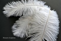 wedding photo - Set of 3 White 8 - 9 Inches Ostrich Feathers - Plumes - Wedding Party Decorations - Headband Feathers - Bouquet Feather