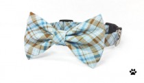 wedding photo - Blue and brown tartan plaid - cat and dog bow tie collar set