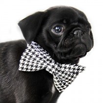 wedding photo - Houndstooth Dog Bow Tie - Classic Black and White Checkered Plaid Gingham Dapper Dog Preppy Detachable Bow