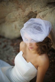 wedding photo - Birdcage Veil