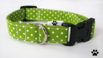 wedding photo - Lime Green Polka Dot - pet collar, dog collar, cat collar