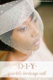 wedding photo - DIY Sparkle Birdcage Veil