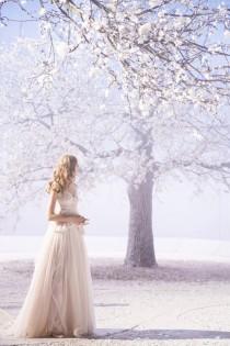 wedding photo - Fairytale Magic