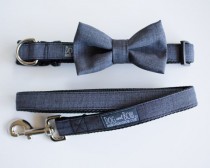 wedding photo - Dog Bow Tie In Dark Gray Suit, Dog Collar, Dog Leash