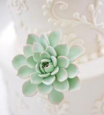 wedding photo - Clay Succulent Cake Topper