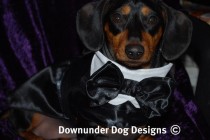 wedding photo - Dog Tux coat 2 piece