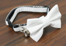 wedding photo - Cat Collar with Bow Tie - Simply White