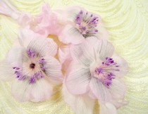 wedding photo - Vintage Silk Anenome Flowers Pale Pink Lavender NOS Germany SPray of 3 for Weddings Bouquets Corsage Hats