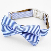wedding photo - Bow Tie Dog Collar - Blue and White Stripe