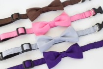 wedding photo - SUPER SALE!  9 colors to choose from, UsagiTeam designer dog collars with bowties Brown, Pink Purple, Sky Blue, Mint or Beige Polkadot