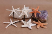 wedding photo - Starfish Bobby Pin Package, starfish bobby pins, mermaid accessories, beach weddings, nautical hair