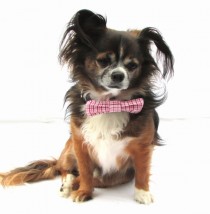 wedding photo - Dog Bow tie-Clip on-Pink and Red and White Plaid-Size small