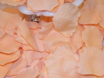 wedding photo - Rose Petals Bulk, Artifical Petals 200, Peach, Bridal Shower Wedding Decoration, Flower Girl Basket Petals, Table Scatter, Pastel Wedding