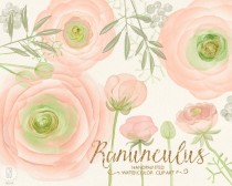 wedding photo - Watercolor ranunculus, blush pink buttercups, hand painted, cream pink, florals, clipart, watercolor invite, diy invitation, party invite