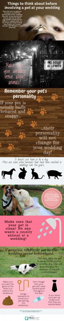 wedding photo - Thinking of Involving a Pet at Your Wedding? Read This First!