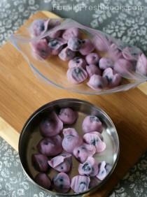 wedding photo - How to Make Frozen Yogurt Blueberries - Cooking - Handimania