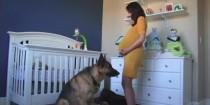 wedding photo - Beautiful Pregnancy Time-Lapse Shows New Mom And New Nursery Transform