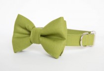 wedding photo - Dog Bow Tie Collar - Okra Green Gentleman's Collar