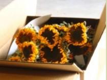 wedding photo - Dried sunflower bundle 