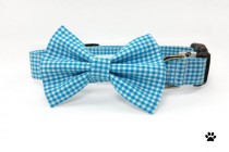 wedding photo - Blue gingham bow tie collar set - cat and dog bow tie and collar set, pet, blue dog collar, blue cat collar, blue bow tie collar set