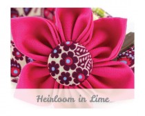 wedding photo - Pink Dog Collar Flower - Heirloom in Lime