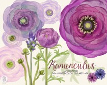 wedding photo - Watercolor purple lavender ranunculus flowers, hand painted, bouquet florals, clip art, wedding invitation, buttercups, party stationery
