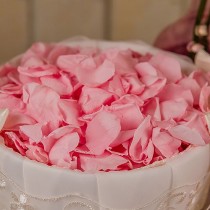 wedding photo - Preserved Natural Rose Petals