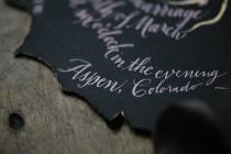 wedding photo - Black Swan Inspiration Shoot 