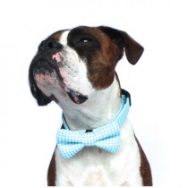 wedding photo - Dog Bow Tie, Nautical Dog Bow Tie, Plaid Bow Tie, Doggie Bow Tie