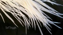wedding photo - Bridal Accessory White Feathers Wedding Hair Accessories Feather Hair Extensions Qty10