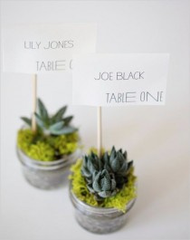 wedding photo - Do It Yourself Eco Friendly Succulent Place Cards