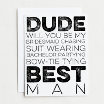 wedding photo - 11 Groomsman Cards.  Will you be my Bridesmaid chasing, suit wearing, bachelor partying, bow-tie tying Groomsman? Will You Be My Groomsman?