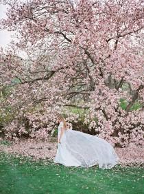 wedding photo - Dreamy Bridal Portraits Among The Magnolias