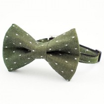 wedding photo - Cat Bow Tie Collar Green Denim Dot
