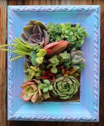 wedding photo - Picture Framed Succulent Vertical Garden Ready to Ship