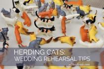 wedding photo - Herding cats: wedding rehearsal tips and advice